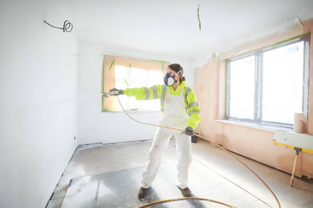 Best Basement Mold Removal  in Carlinvle, IL