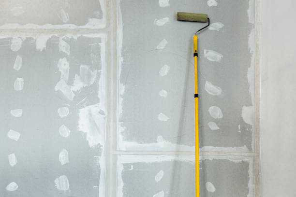 Best Biohazard Mold Removal  in Carlinvle, IL