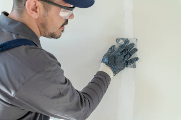 Best Mold Remediation for Healthcare Facilities  in Carlinvle, IL