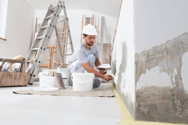 Best Mold Odor Removal Services  in Carlinvle, IL