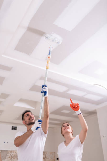 Best Indoor Air Quality Assessment  in Carlinvle, IL