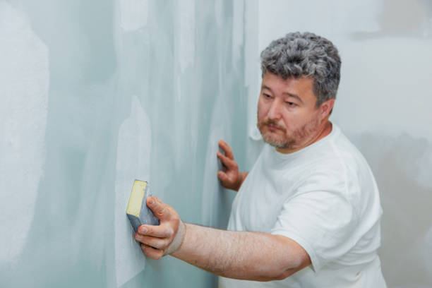 Dehumidification Services in Carlinville, IL