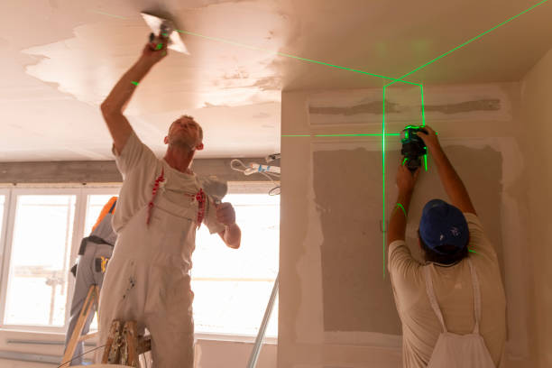Best Black Mold Removal  in Carlinvle, IL