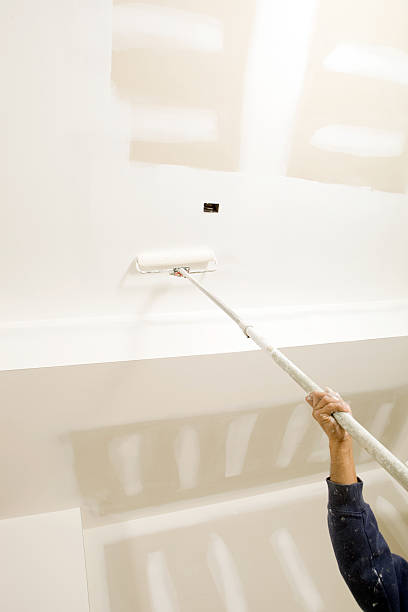 Best Real Estate Mold Inspection  in Carlinvle, IL