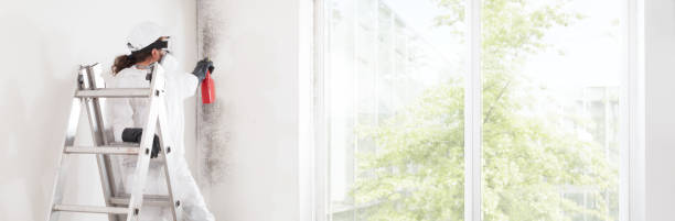 Best Commercial Mold Inspection  in Carlinvle, IL