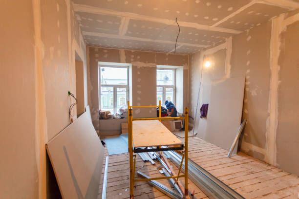 Reliable Carlinville, IL Mold Removal Solutions